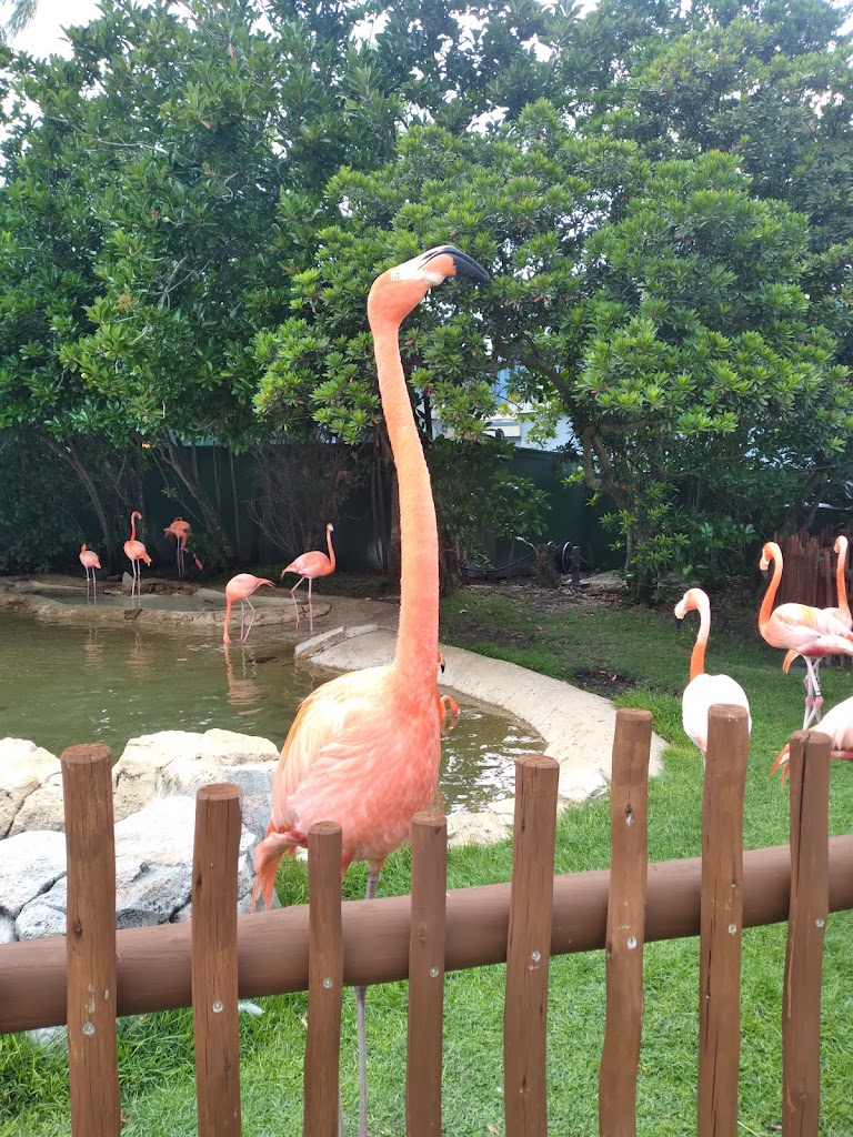 SeaWorld Orlando - Foto 1