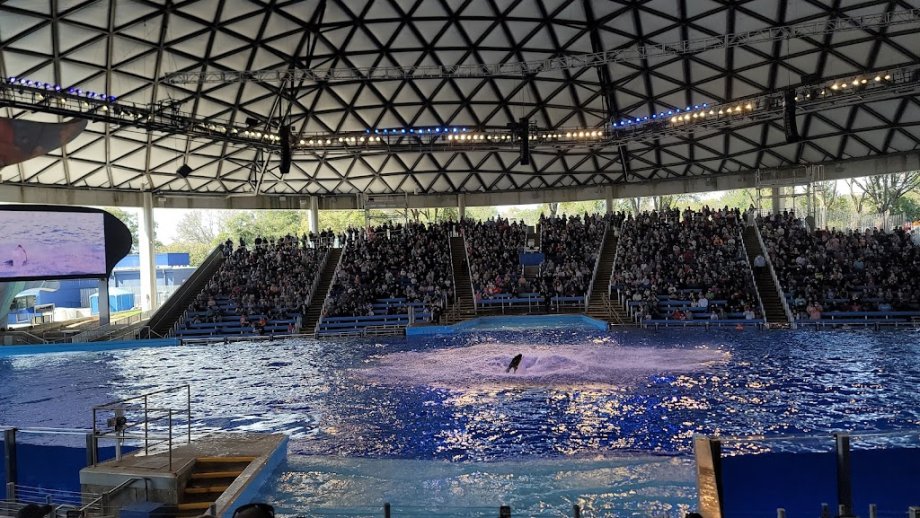 SeaWorld San Antonio - Foto 3