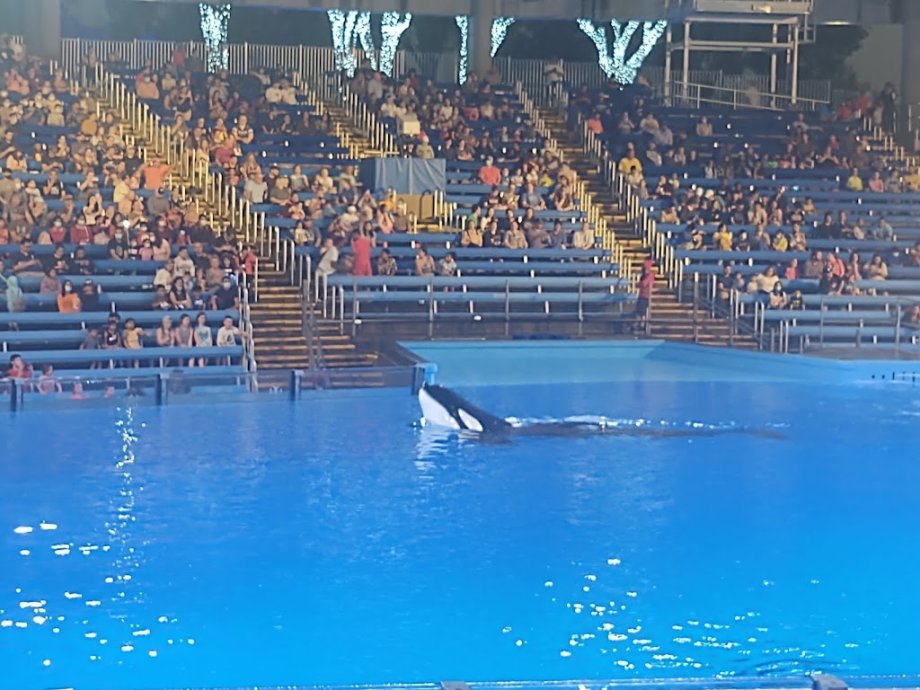 SeaWorld San Antonio - Foto 7