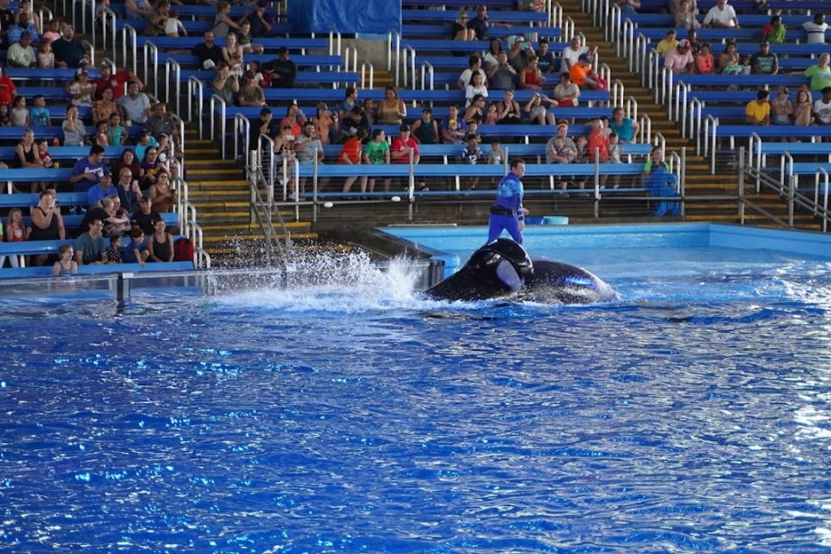 SeaWorld San Antonio - Foto 8