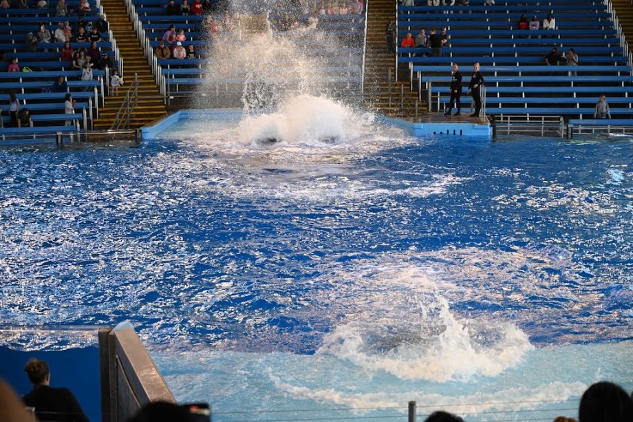 SeaWorld San Antonio - Foto 12