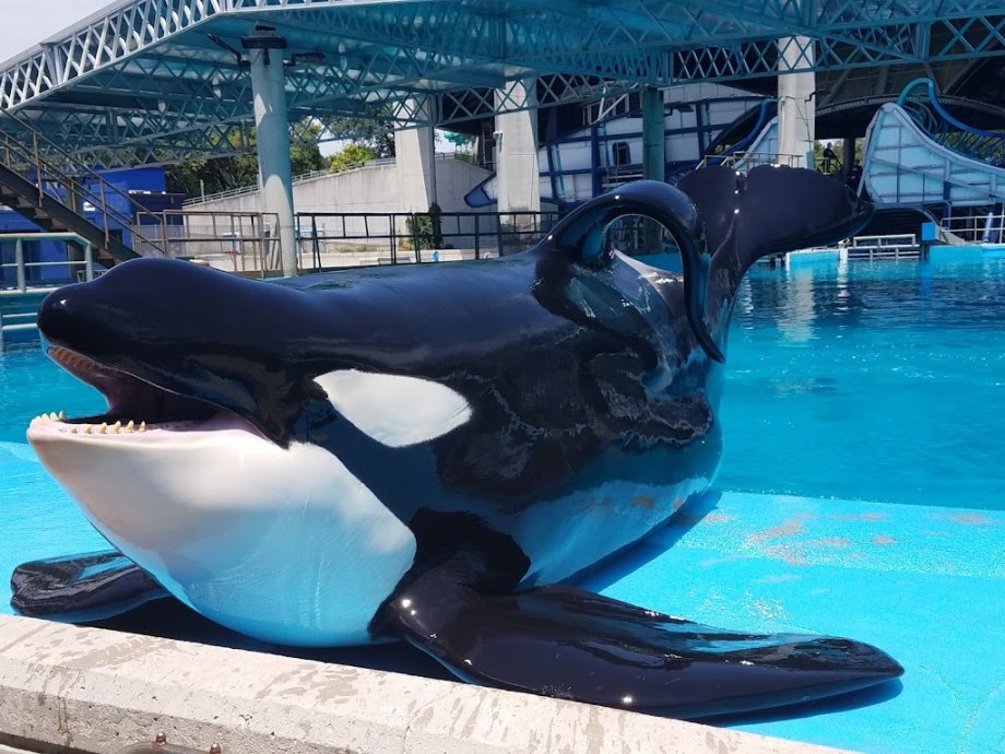 SeaWorld San Antonio - Foto 13