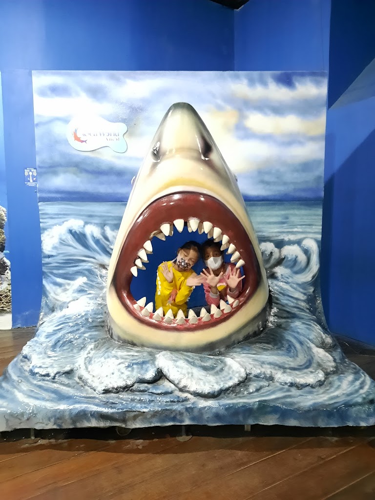 Sea World Ancol - Foto 4