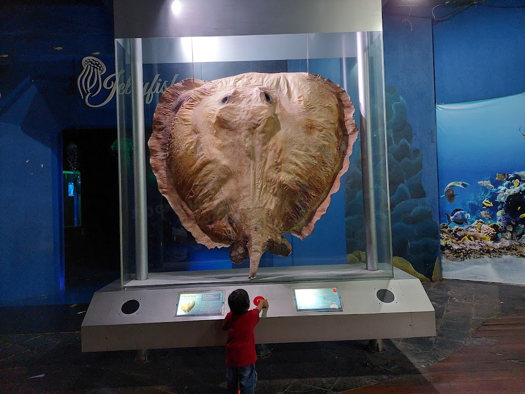 Sea World Ancol - Foto 1