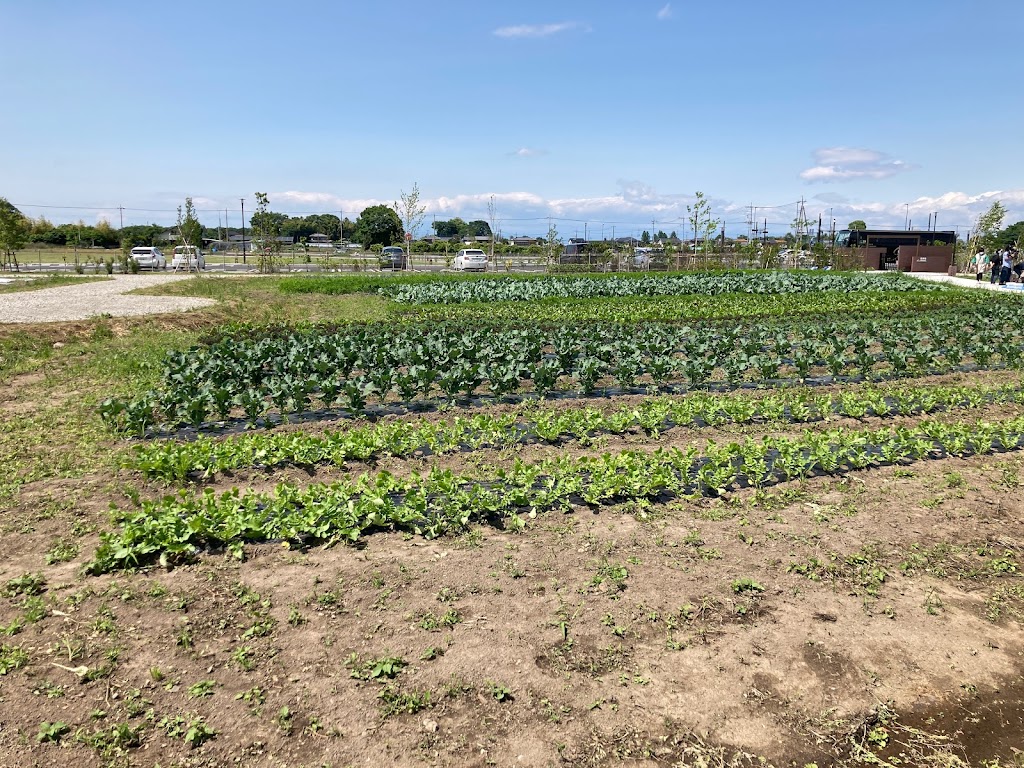 Fukaya Terrace Park - Foto 1