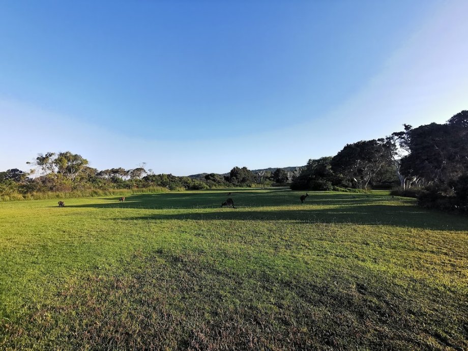 BIG4 Denmark Ocean Beach Holiday Park - Foto 5