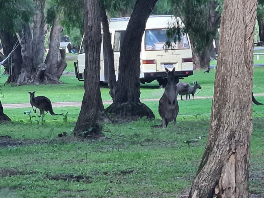 BIG4 Denmark Ocean Beach Holiday Park - Foto 10