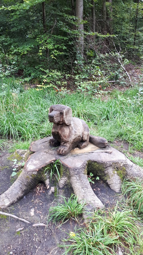 Waldspielplatz, Grillstelle - Foto 8