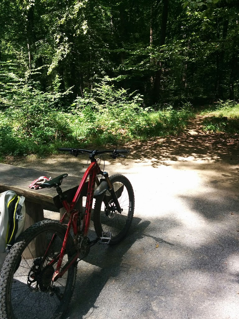 Waldspielplatz, Grillstelle - Foto 1