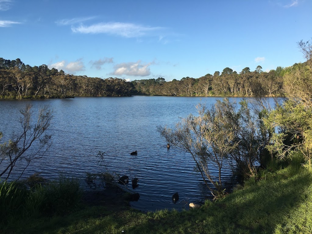 Wentworth Falls Lake Playground - Foto 1