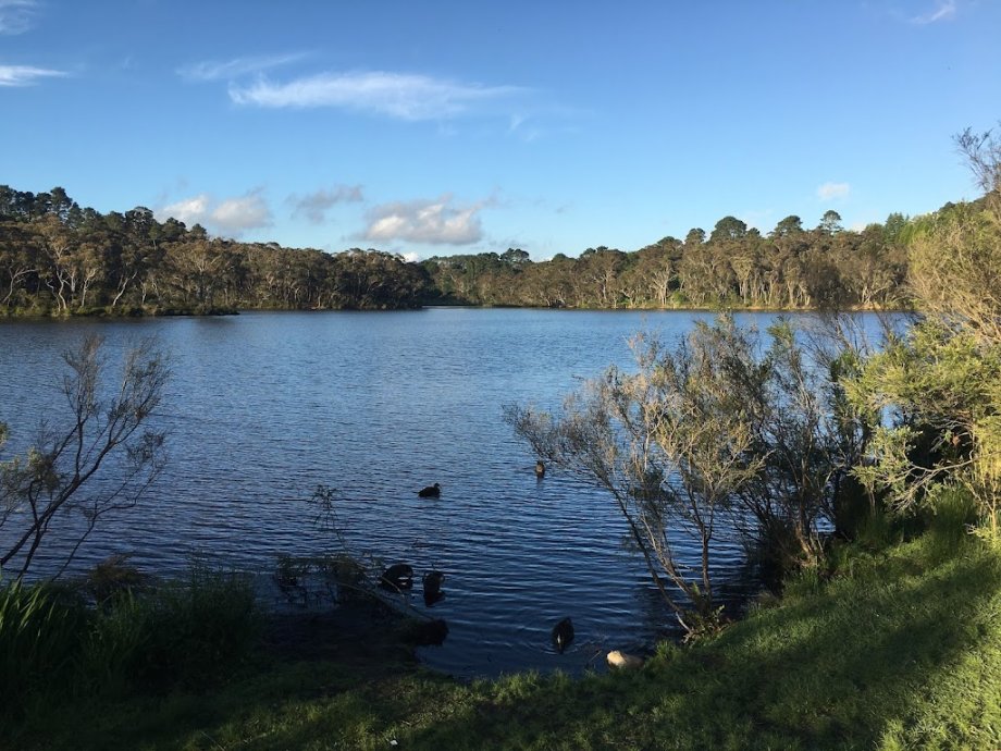 Wentworth Falls Lake Playground - Foto 2