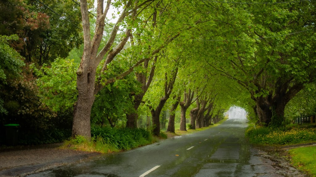 Wentworth Falls Lake Playground - Foto 1