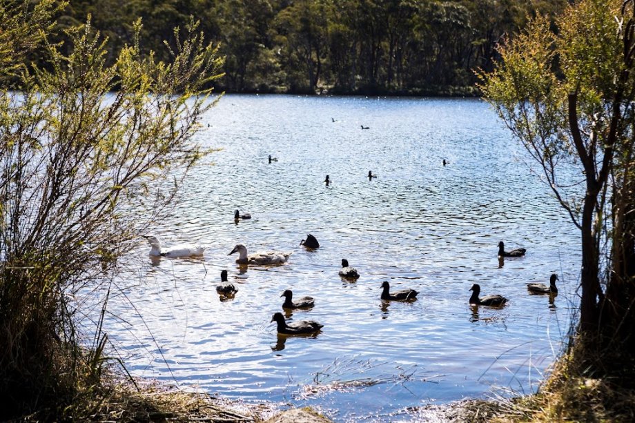 Wentworth Falls Lake Playground - Foto 5