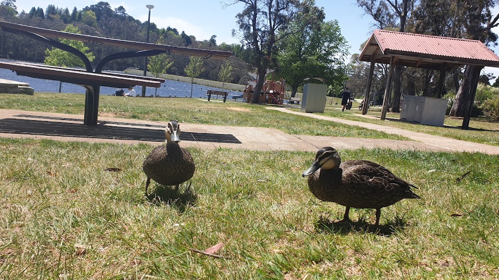 Wentworth Falls Lake Playground