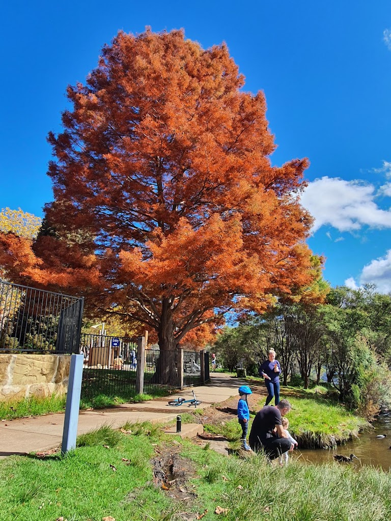 Wentworth Falls Lake Playground - Foto 1