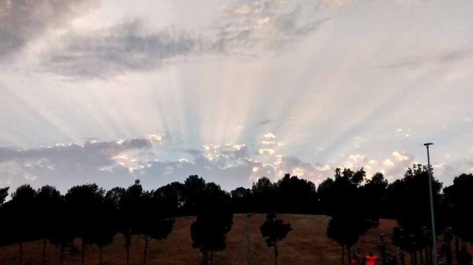 Parque del Turó de Can Mates - Foto 6