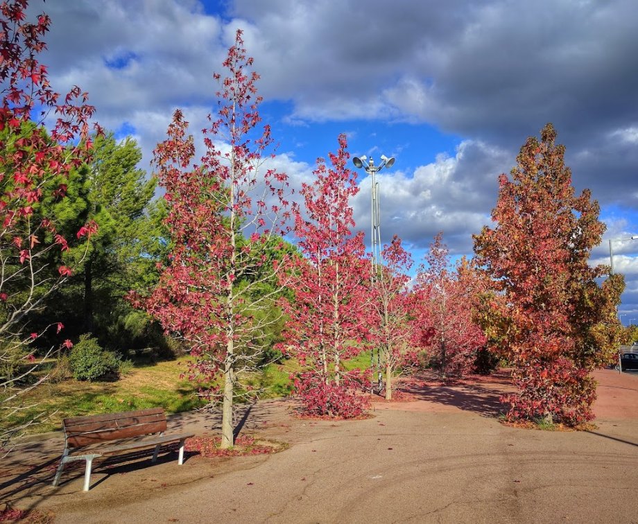 Parque del Turó de Can Mates - Foto 10