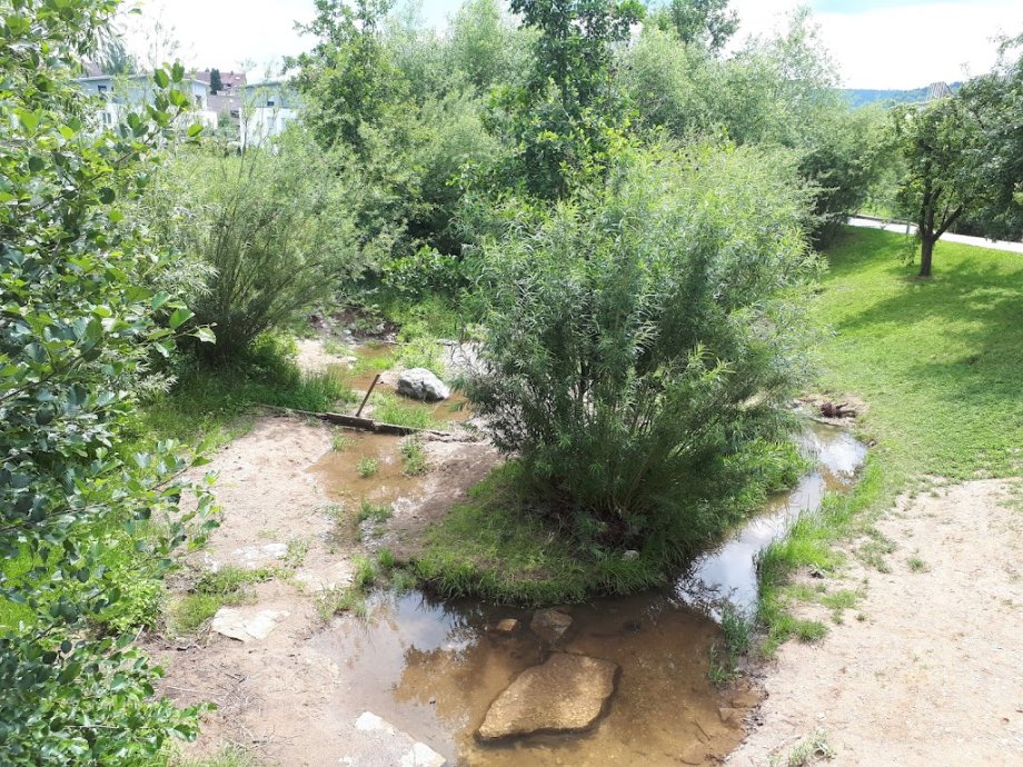 Wasserspielplatz Urbach - Foto 9