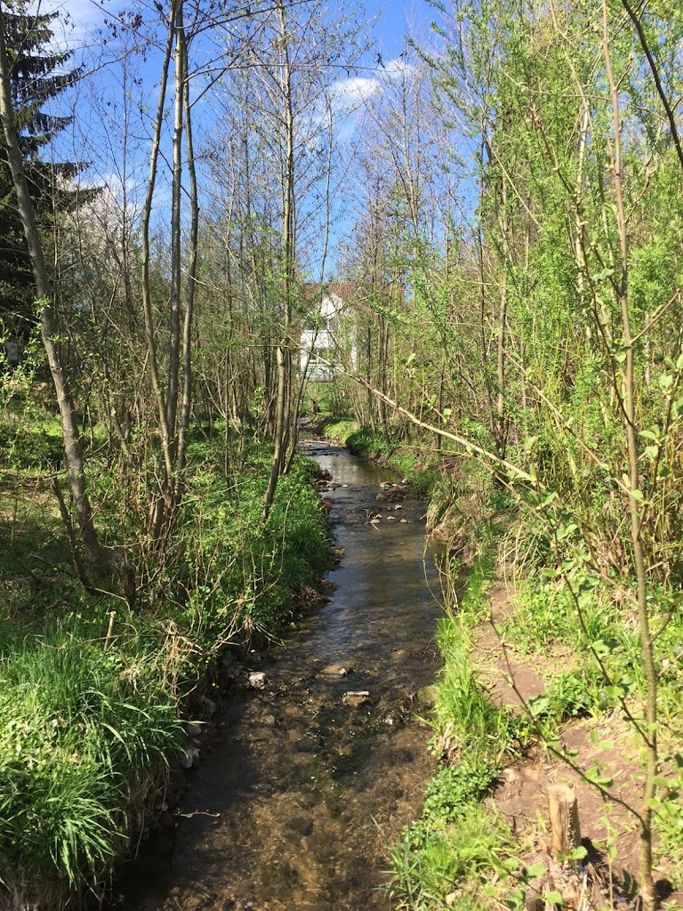 Spielplatz Urbacher Mitte - Foto 1