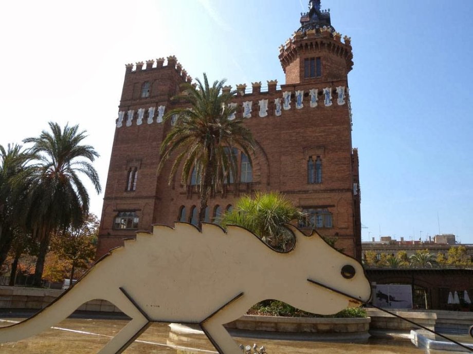 Museu de Ciències Naturals de Barcelona - Foto 3