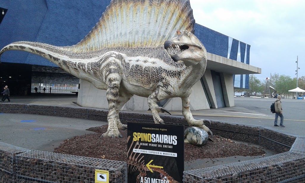 Museu de Ciències Naturals de Barcelona - Foto 1