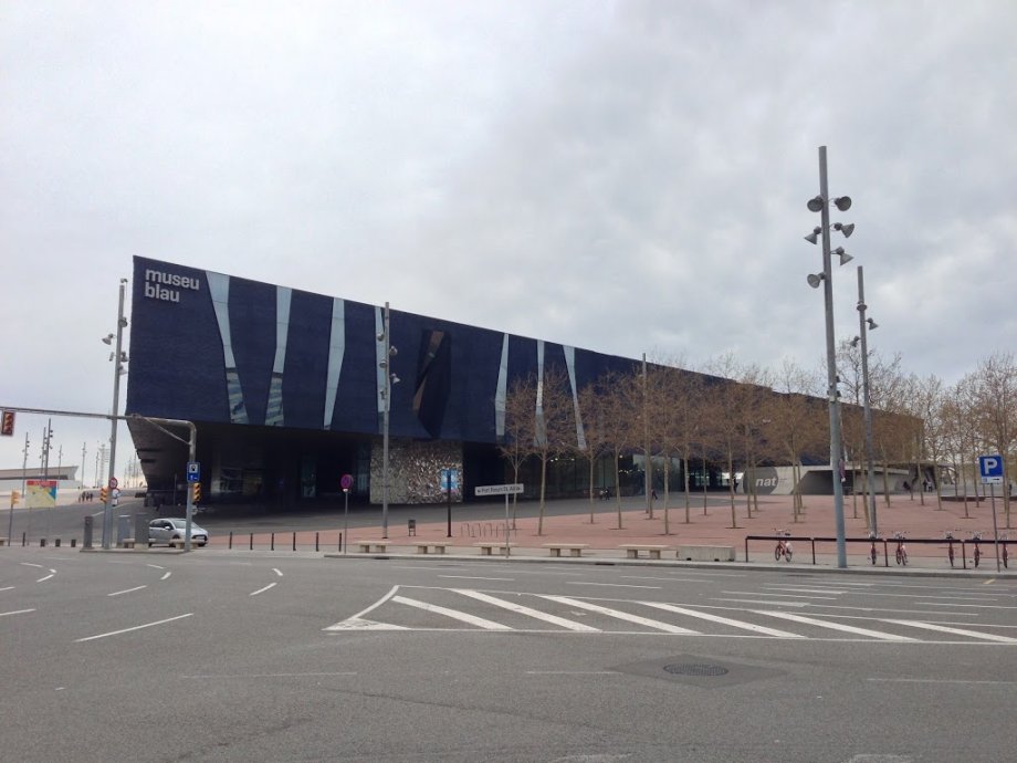 Museu de Ciències Naturals de Barcelona - Foto 6