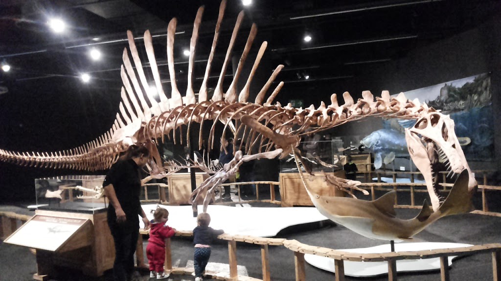 Museu de Ciències Naturals de Barcelona - Foto 1