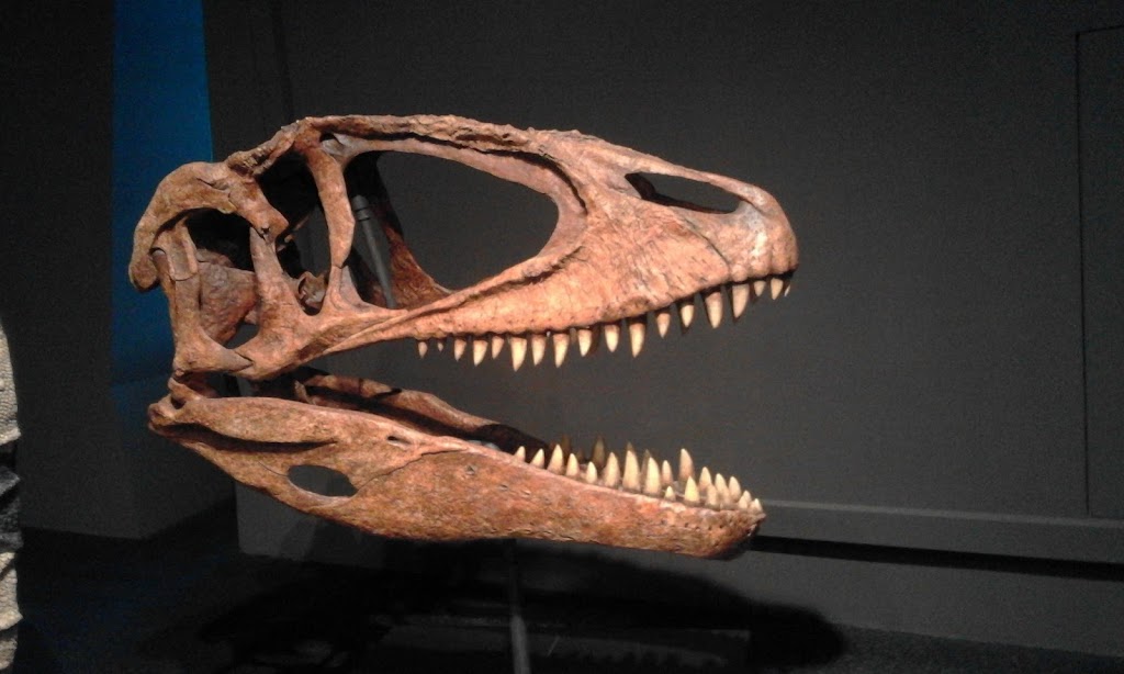 Museu de Ciències Naturals de Barcelona - Foto 1