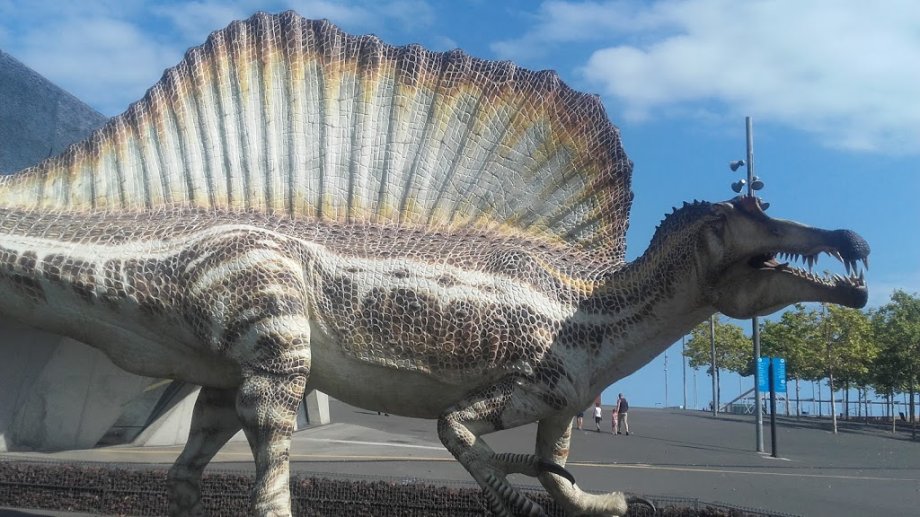 Museu de Ciències Naturals de Barcelona - Foto 13