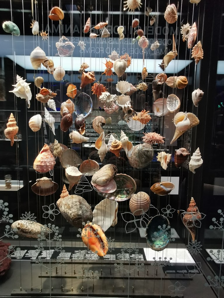 Museu de Ciències Naturals de Barcelona - Foto 1