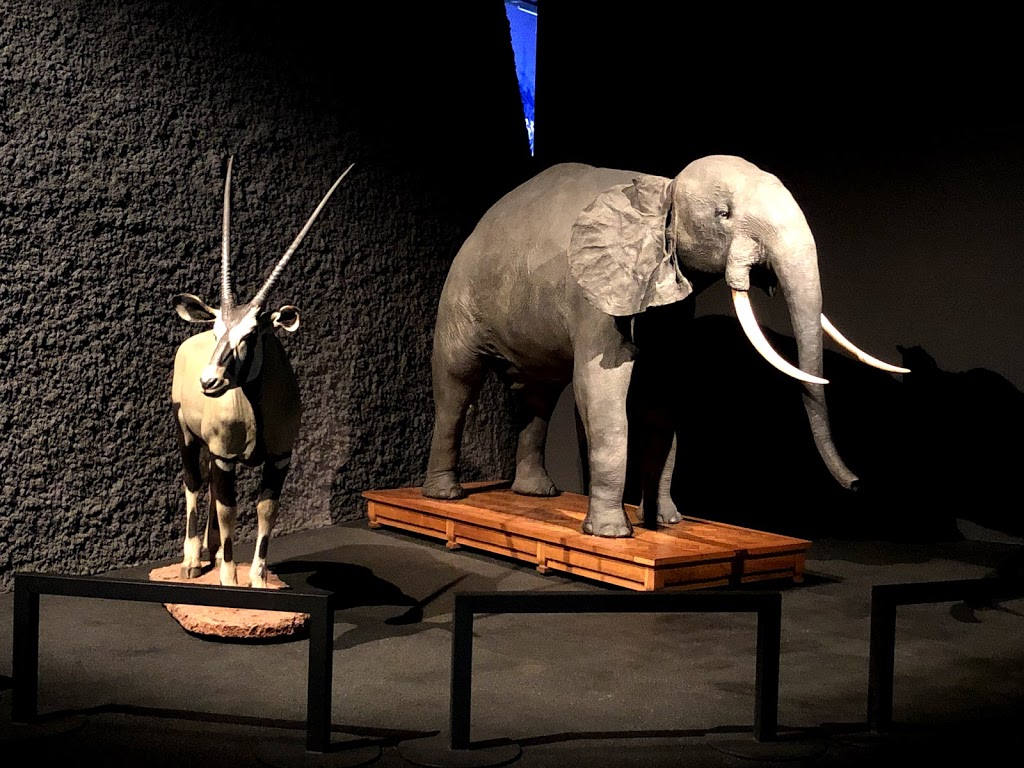 Museu de Ciències Naturals de Barcelona 8