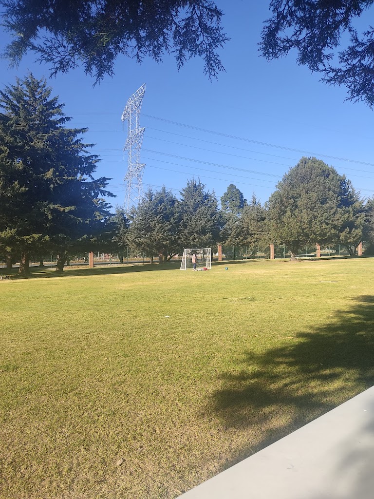 Restaurante Jajalpa - Foto 5