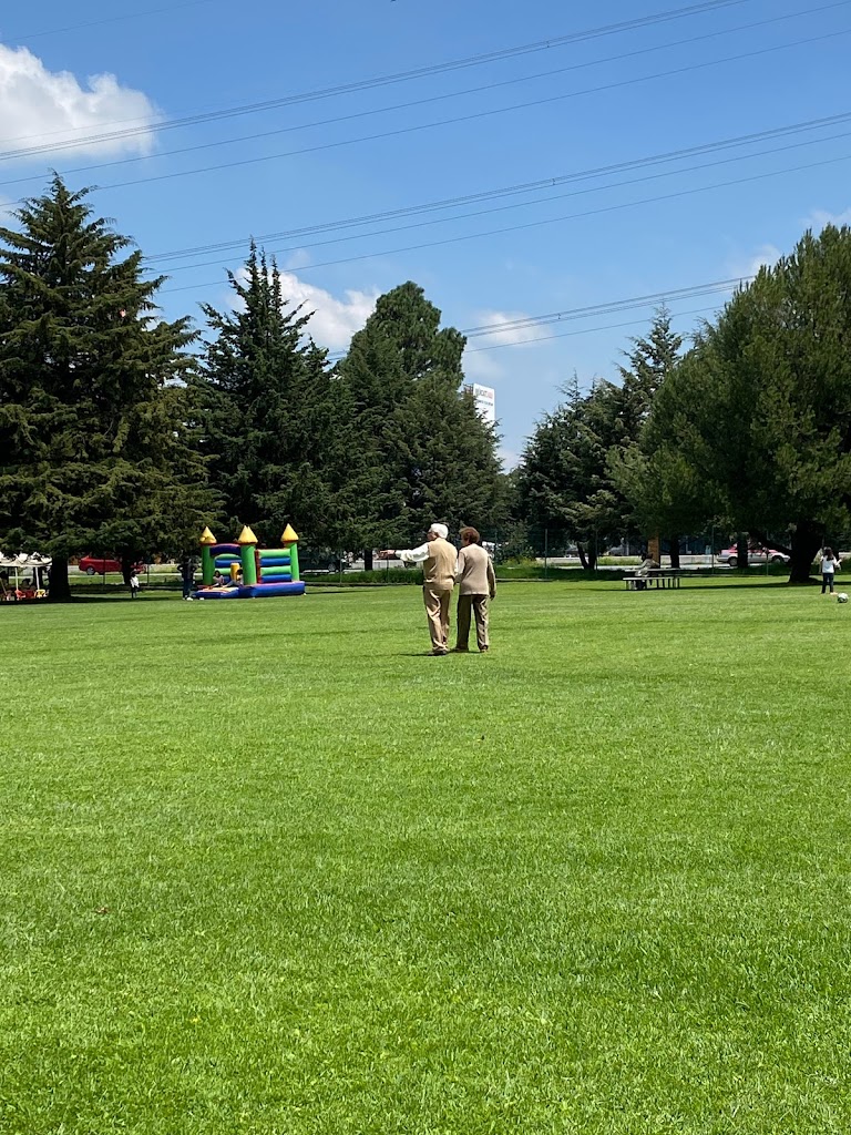 Restaurante Jajalpa - Foto 14