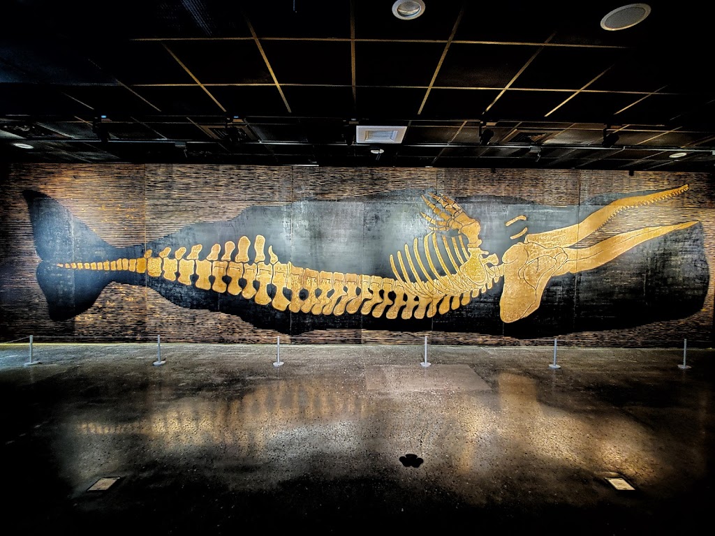 Tainan Zuojhen Fossil Park - Foto 1