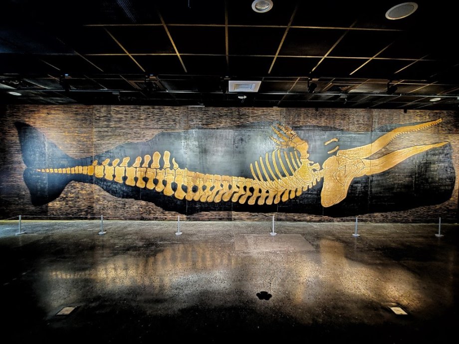 Tainan Zuojhen Fossil Park - Foto 3