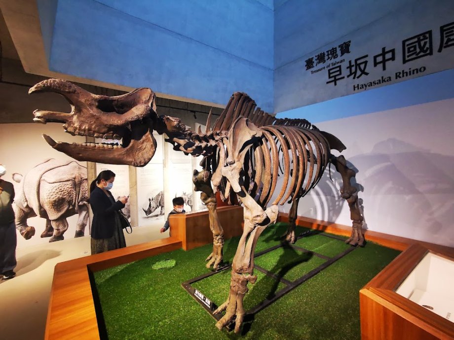 Tainan Zuojhen Fossil Park - Foto 4
