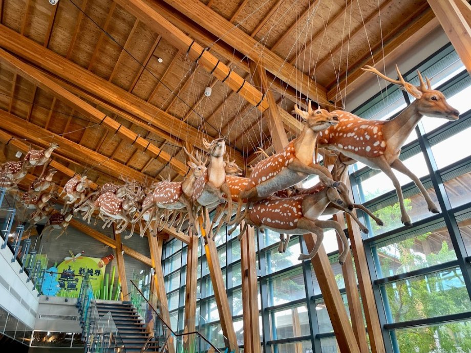 Tainan Zuojhen Fossil Park - Foto 6