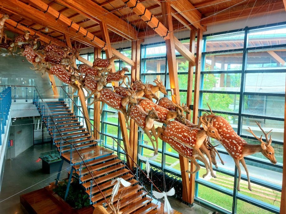 Tainan Zuojhen Fossil Park - Foto 9