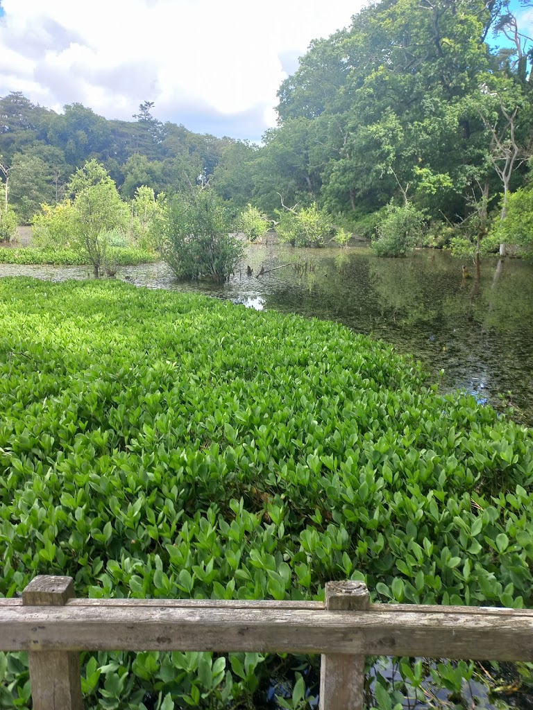 Delamont Country Park - Foto 1