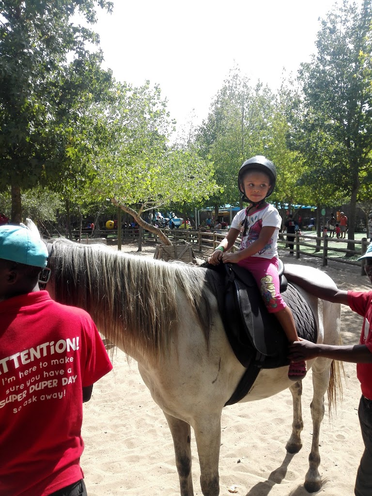 Bugz Playpark - Foto 5