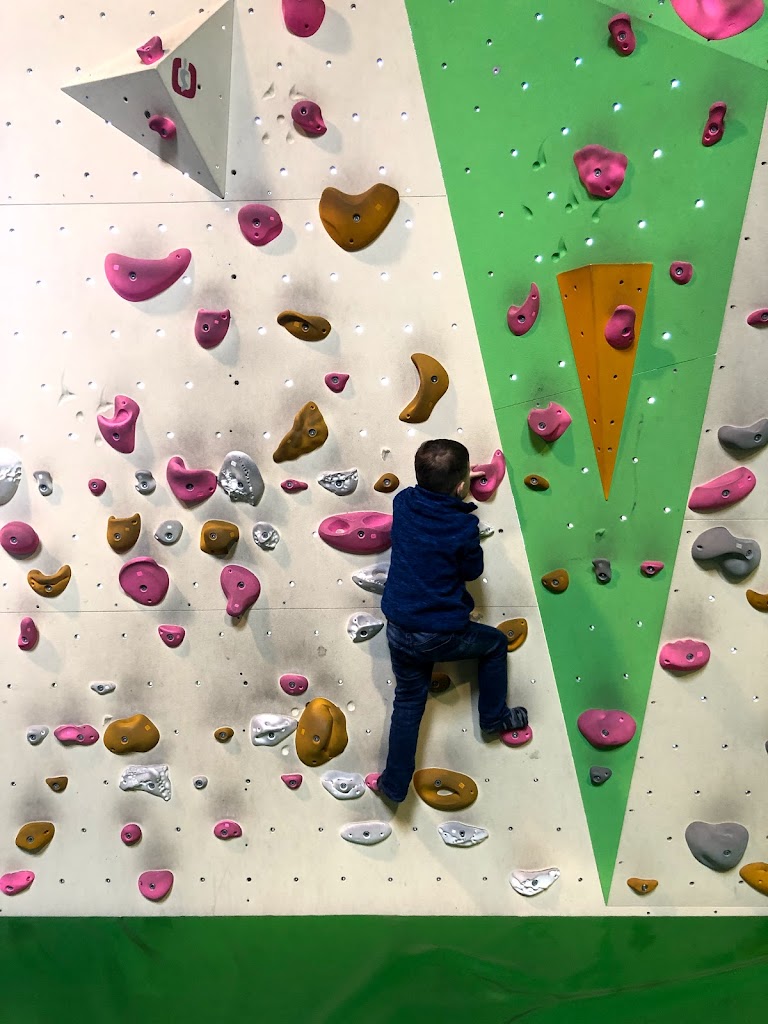 Jungle Indoor Playland - Foto 10