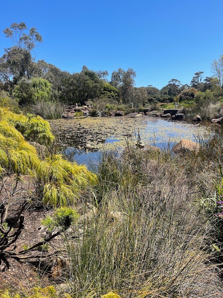 A Maze'n Margaret River - Foto 5
