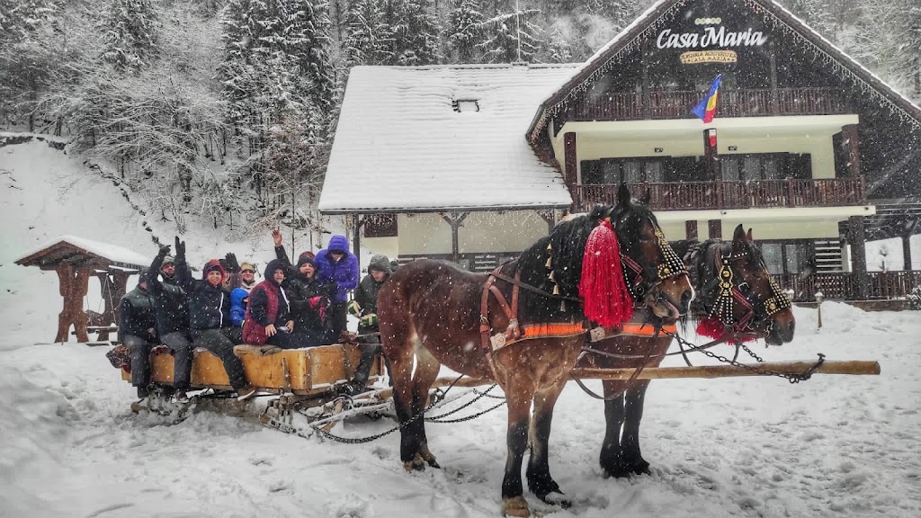 Pensiunea Agroturistică Casa Maria 7