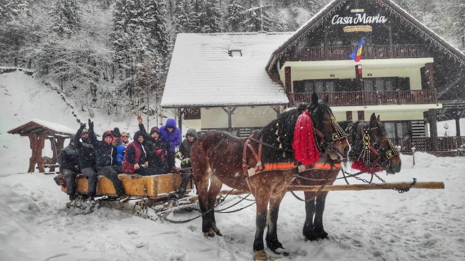 Pensiunea Agroturistică Casa Maria - Foto 7
