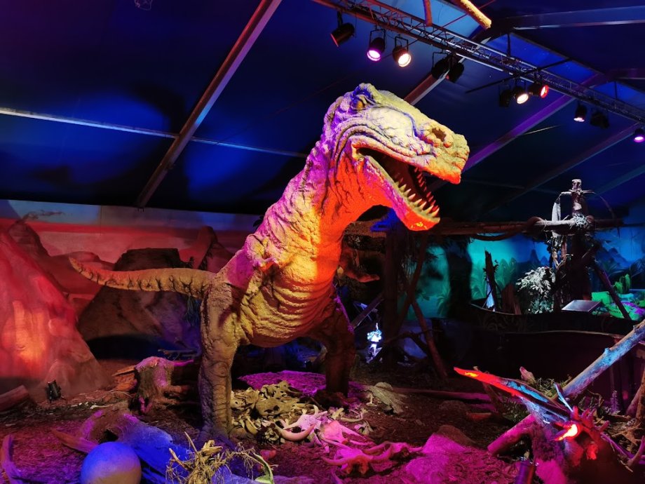 Freizeit-Land Geiselwind - Foto 6