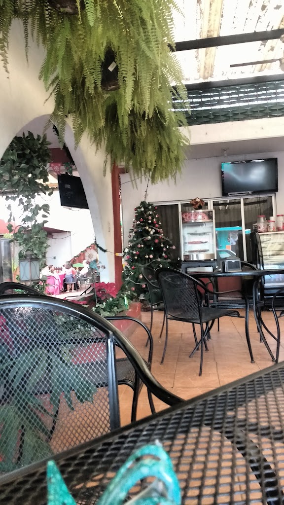 Pizzas Nonos, cafetería jardín - Foto 6