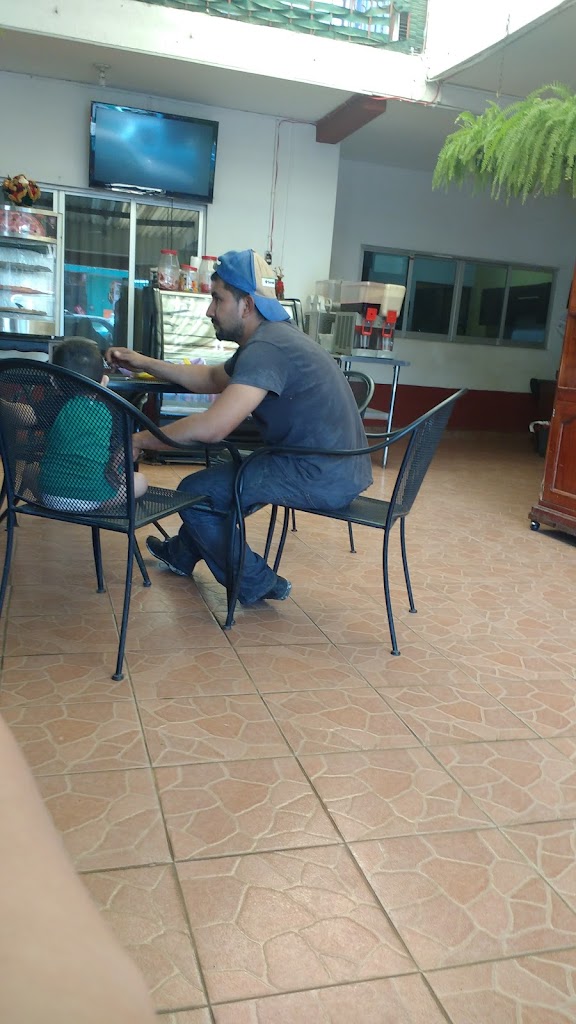 Pizzas Nonos, cafetería jardín - Foto 1