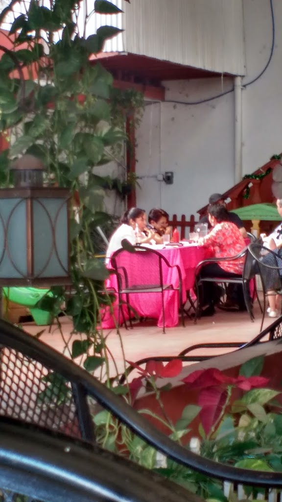 Pizzas Nonos, cafetería jardín - Foto 9