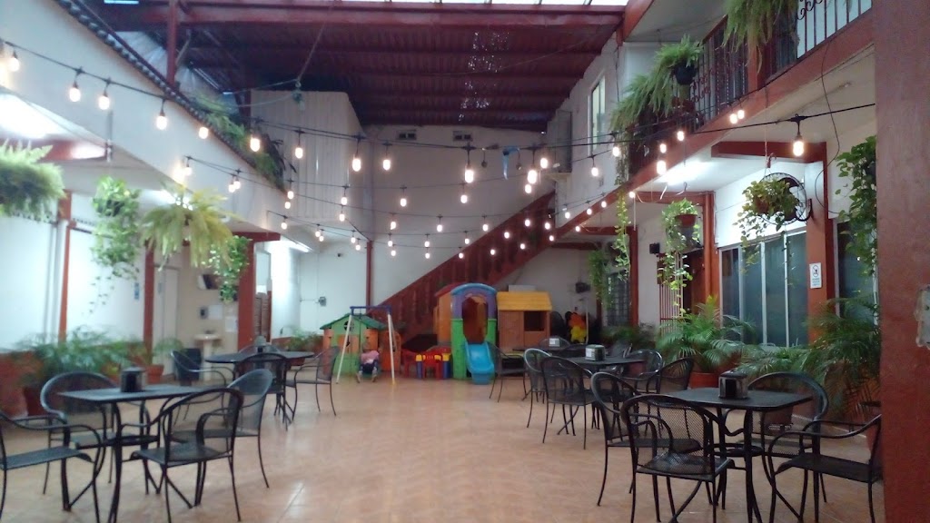 Pizzas Nonos, cafetería jardín - Foto 1