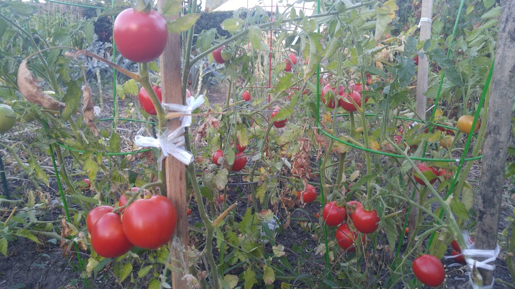 Tot Lot Park - Foto 1